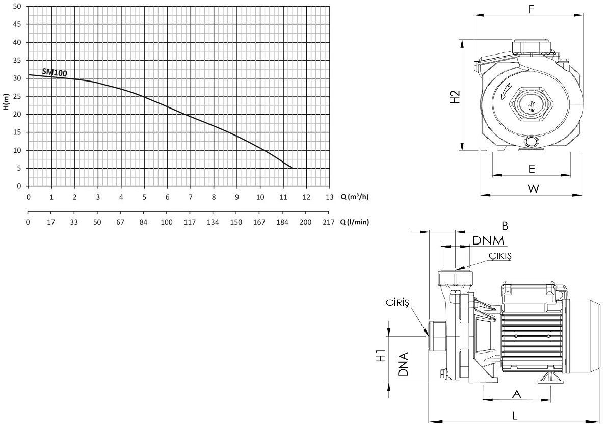 Sumak SM100-P Santrifüj su pompası ölçüleri ve basma eğrisi