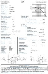 132 kw 180 HP 1500 GAMAK IE4 Döküm Trifaze Motor