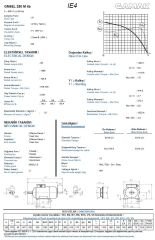 132 kw 180 HP 1500 GAMAK IE4 Döküm Trifaze Motor