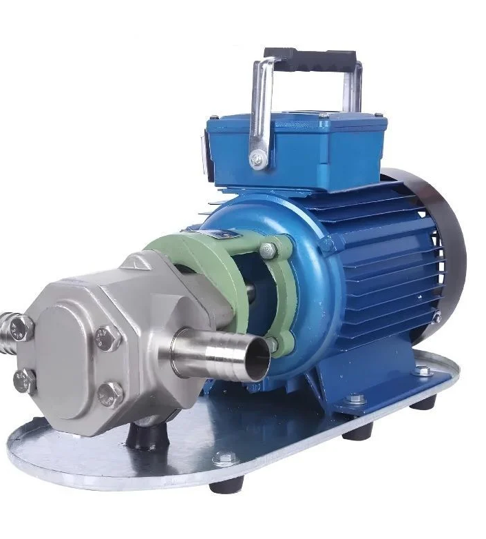 WATER SOUND WCB-100SSM Dişli Yağ Transfer Pompa