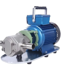 WATER SOUND WCB-100SSM Dişli Yağ Transfer Pompa