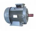 GAMAK 30 kw 40 HP 1000 d/d IE3 Döküm Gövdeli Trifaze Motor