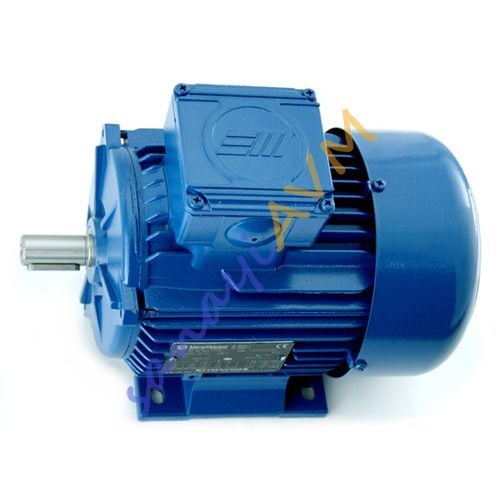 30 kw (40 HP) 1500 d/d B3 MARELLI Ex-proof Motor