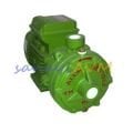 RD ALEM BERTOLA 1.5 HP Monofaze Kademeli Santrifüj Pompa