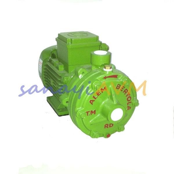 RD ALEM BERTOLA 2 HP Trifaze Kademeli Santrifüj Pompa
