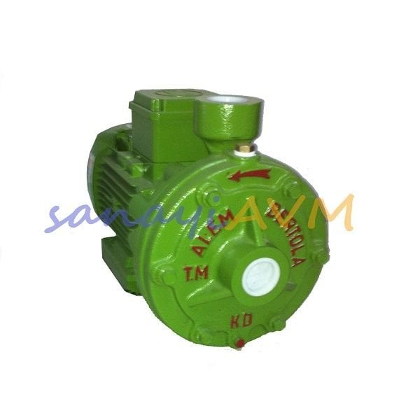 KD ALEM BERTOLA 3 HP Monofaze Kademeli Santrifüj Pompa