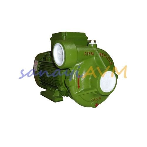 Vega ALEM BERTOLA 2 HP Trifaze Santrifüj Pompa