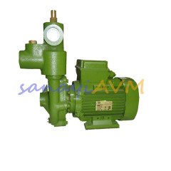EAP 15 ALEM BERTOLA 1.5 HP Monofaze Ejektörlü Derin Kuyu Pompası
