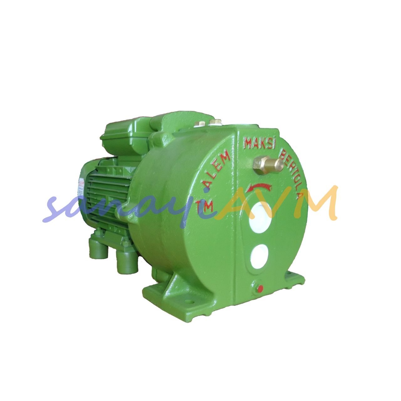 Maksi 15 ALEM BERTOLA 1.5 HP Monofaze Ejektörlü Derin Kuyu Pompası