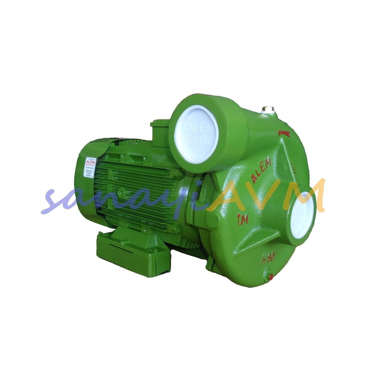 H 60 ALEM BERTOLA 15 HP Trifaze Monoblok Santrifüj Pompa