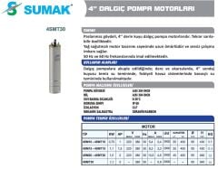 Sumak 4SMT10 1 HP Trifaze Derin Kuyu Dalgıç Motoru