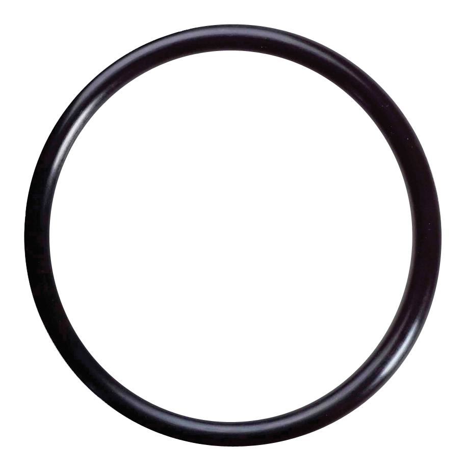 SUMAK SM15-SMT15 Pompa Gövde O-ringi 63x2.62