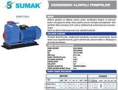 SUMAK DSMT550/3 Kendinden Klapeli Atık Su Pompası