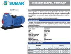 SUMAK DSMT750/3 Kendinden Klapeli Atık Su Pompası