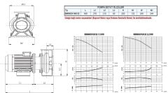 SUMAK SMINOX 160/32 - 316 Paslanmaz Santrifüj Pompa 3 HP