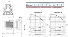 SUMAK SMINOX 160/40 - 316 Paslanmaz Santrifüj Pompa 4 HP