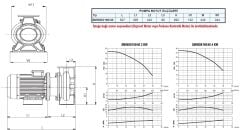 SUMAK SMINOX 160/40 - 316 Paslanmaz Santrifüj Pompa 5,5 HP