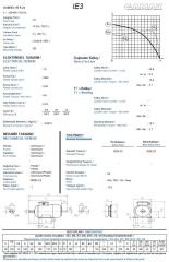 1.5 kw 2 HP GAMAK Elektrik Motoru 90 - 3000