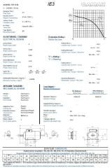 3 kw 4 HP GAMAK Elektrik Motoru 100 - 1500