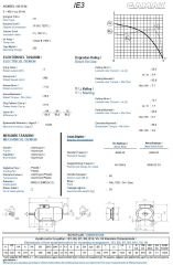 3 kw 4 HP GAMAK Elektrik Motoru 132 - 1000