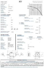 4 kw 5.5 HP GAMAK Elektrik Motoru 112 - 3000