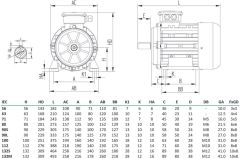 MİKSAN 0.55 kw 0.75 HP 3000 Elektrik Motoru
