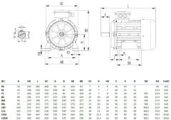 MİKSAN 1.1 kw 1.5 HP 3000 Elektrik Motoru