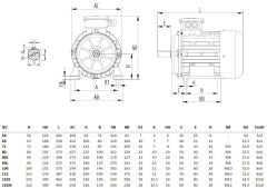 MİKSAN 1.5 kw 2 HP 3000 Elektrik Motoru