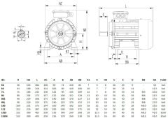 MİKSAN 2.2 kw 3 HP 3000 Elektrik Motoru