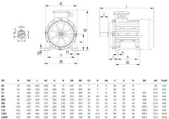 MİKSAN 4 kw 5.5 HP 3000 Elektrik Motoru