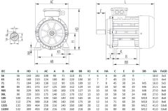 MİKSAN 0.55 kw 1000 Elektrik Motoru