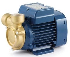 PQm 65-BS Pedrollo Sürtme Fanlı Bronz Gövdeli Pompa