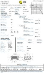 GAMAK 0.55 kw 0.75 HP 1000 Exproof Motor