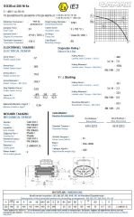 GAMAK 37 kw 50 HP 1000 Exproof Motor 250