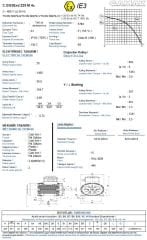 GAMAK 55 kw 75 HP 1500 Exproof Motor 225