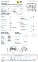 GAMAK 55 kw 75 HP 3000 Exproof Motor 225
