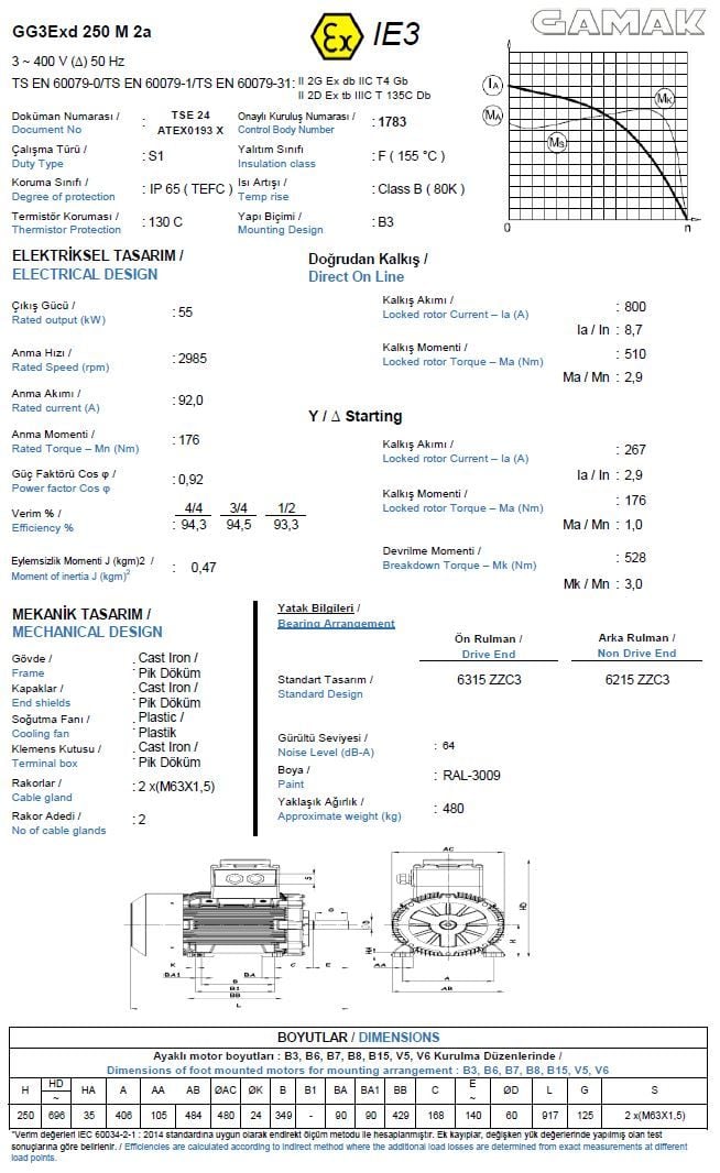 GAMAK 55 kw 75 HP 3000 Exproof Motor 250