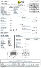GAMAK 55 kw 75 HP 3000 Exproof Motor 250