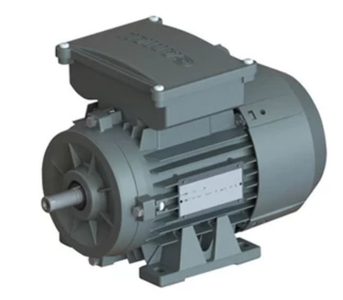 GAMAK 0,75 kw 1 HP 3000 Monofaze Motor