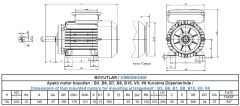 GAMAK 1.5 kw 2 HP 3000 Monofaze Motor