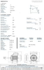 GAMAK 1.5 kw 2 HP 3000 Monofaze Motor