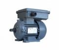 GAMAK 2.2 kw 3 HP 3000 Monofaze Motor