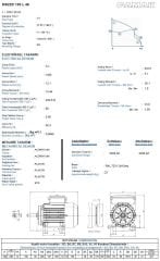 GAMAK 2.2 kw 3 HP 1500 Monofaze Motor