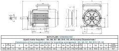 GAMAK 3 kw 4 HP 1500 Monofaze Motor