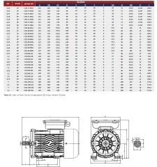 VOLT 0.75 kw 1 HP 1000 Monofaze Motor