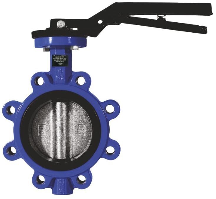 Klepsan DN250 Lug Kelebek Vana Nikel Klapeli