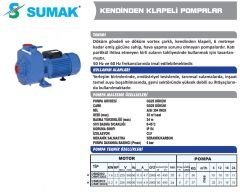 SUMAK DSMT220/2 Kendinden Klapeli Atık Su Pompası