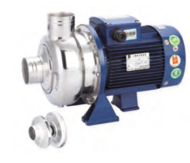 WATER SOUND BB500/300 Komple Paslanmaz Santrifüj Pompa