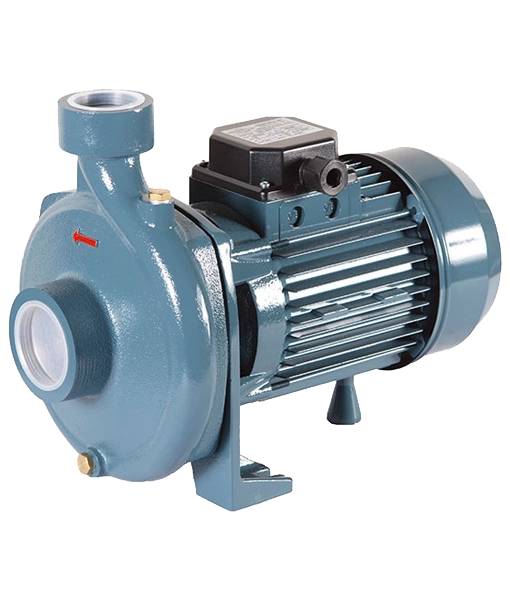 CONFORTO SC 300 T Santrifüj Pompa