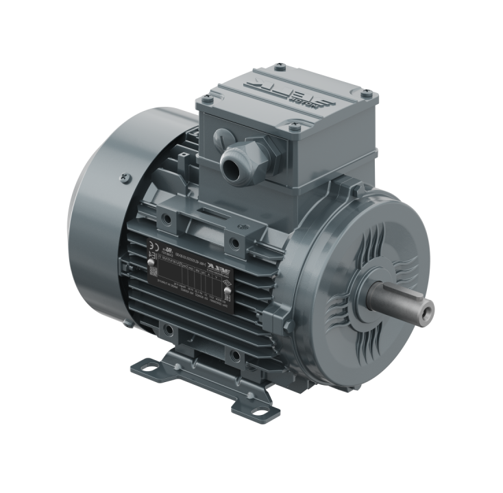 ELK 0,75 kw 1 HP 3000 Trifaze Motor